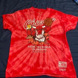Bulls hardwood shirt
